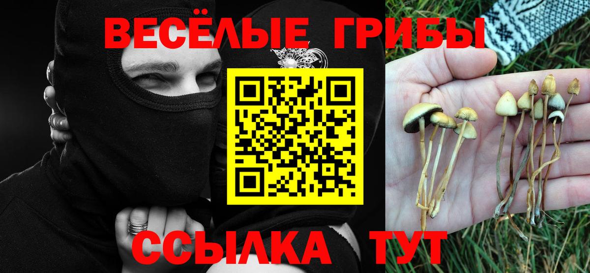 наркошоп  Псилоцибиновые грибы Cubensis  Псилоцибиновые грибы мухоморы  Вход с VPN  Волхов 